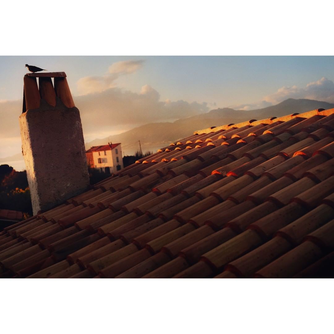 Bird perched atop chimney on red tile roof overlooking scenic mountain vista and sky at sunset, soft lighting, clear day.