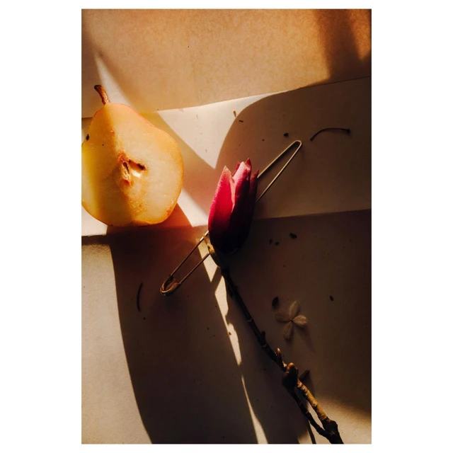 Still life photo of a halved pear, a vibrant pink flower pinned with a golden safety pin, and a small flower with white petals.