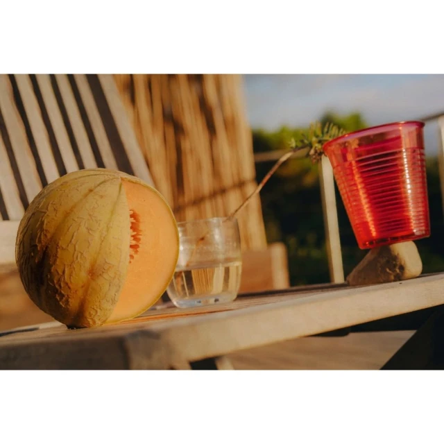 Still life of a halved cantaloupe, a glass of water, and a red plastic cup on a wooden surface outdoors in warm, natural light.