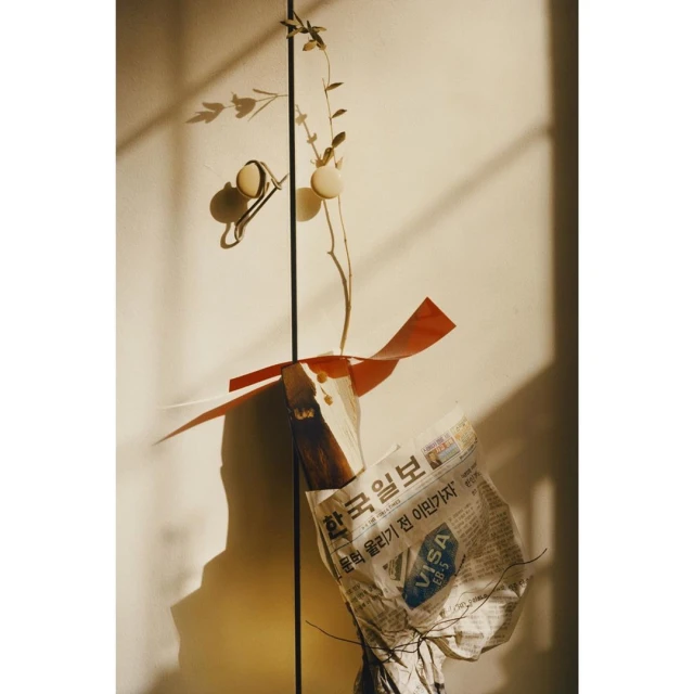 Abstract still life featuring a newspaper, plant, red ribbon, and other objects against a neutral wall with shadow patterns.