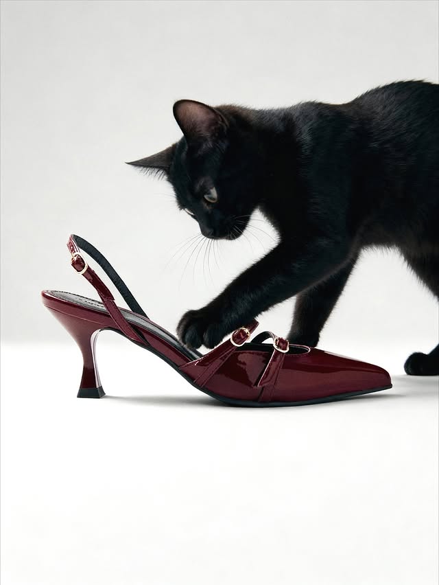 Black cat playfully interacting with a glossy burgundy high-heeled shoe against a clean, bright white backdrop in a studio shot.