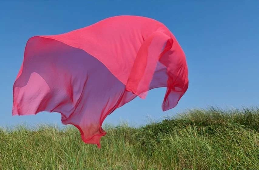 Sheer pink fabric flows in the wind against a blue sky and dune grass, creating a sense of movement and freedom in nature.