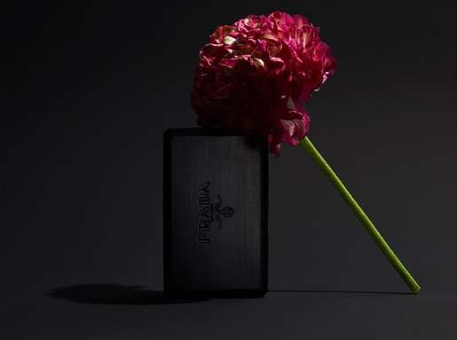 Still life photograph of a Prada perfume bottle with a dark pink flower resting on top, against a black background with soft lighting.