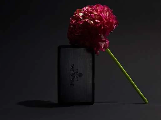 Still life photograph of a Prada perfume bottle with a dark pink flower resting on top, against a black background with soft lighting.