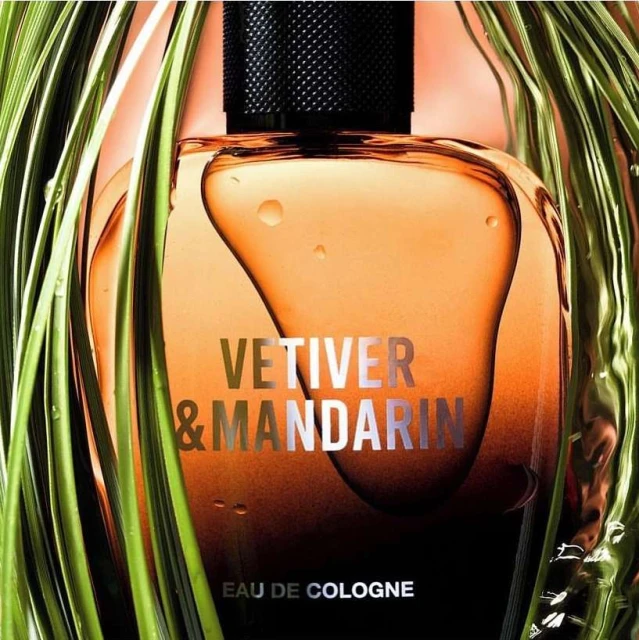 Close-up of a bottle of Vetiver & Mandarin Eau de Cologne with green plant fronds framing the edges against a peach background.