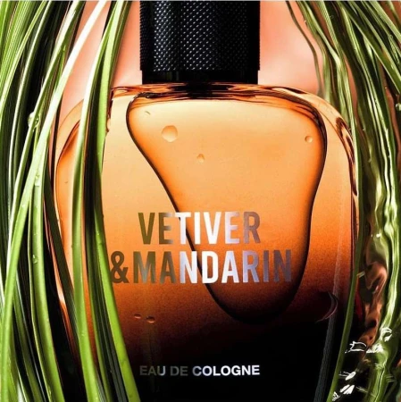 Close-up of a bottle of Vetiver & Mandarin Eau de Cologne with green plant fronds framing the edges against a peach background.