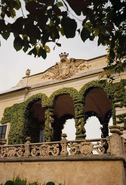 Exterior view of a historic building with an ivy-covered balcony, ornate carvings, and tree foliage in the foreground, creating a serene atmosphere.