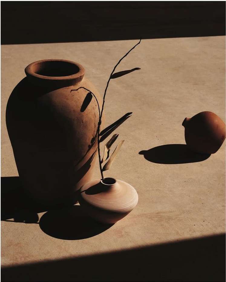 Still life image of terracotta pots and a branch with leaves. The pots are in sunlight, casting shadows on a tan colored surface.