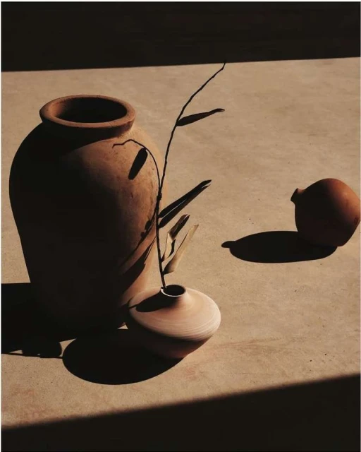 Still life image of terracotta pots and a branch with leaves. The pots are in sunlight, casting shadows on a tan colored surface.