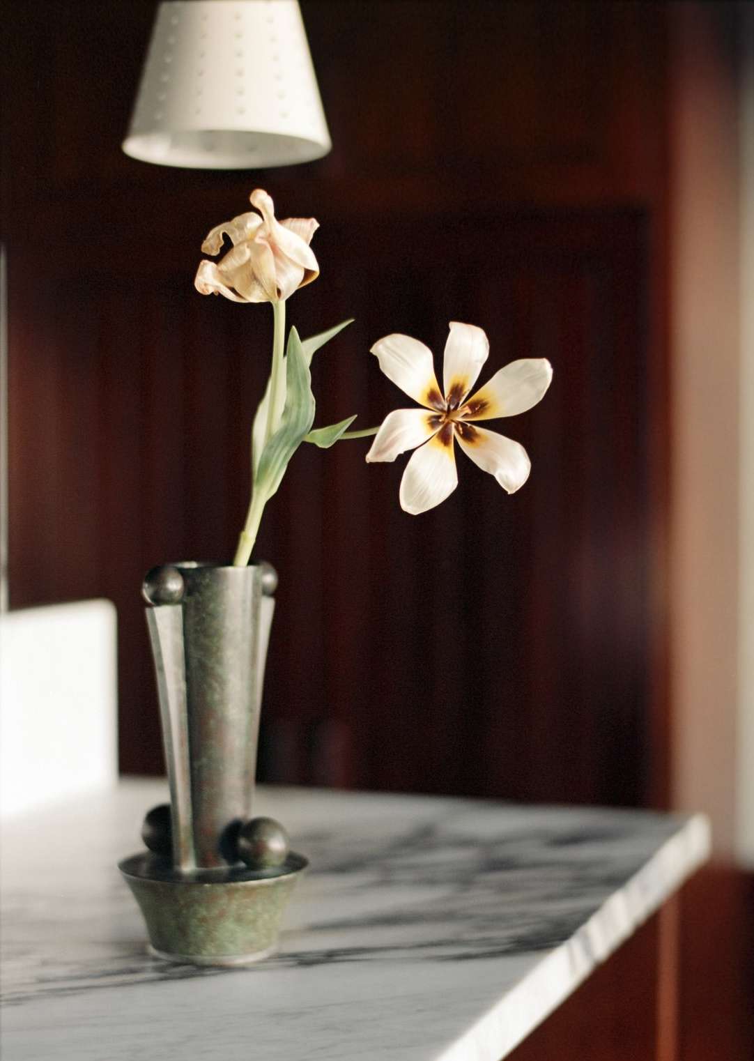 Still life featuring a metal vase holding two flowers, one wilting, set on a marble countertop under a pendant light, captured indoors.