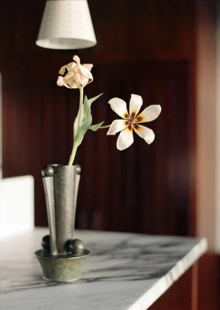 Still life featuring a metal vase holding two flowers, one wilting, set on a marble countertop under a pendant light, captured indoors.