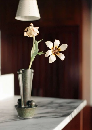 Still life featuring a metal vase holding two flowers, one wilting, set on a marble countertop under a pendant light, captured indoors.