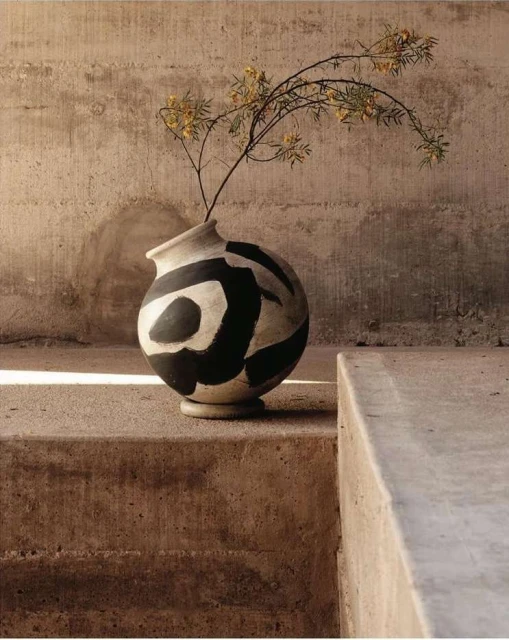 Still life photograph of a ceramic vase featuring a bold black-and-white pattern filled with a flowering branch, set against a textured wall.