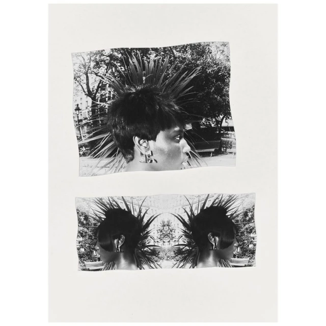 Black and white collage featuring a portrait of a person with spiky hair in a garden setting, with mirrored image below.