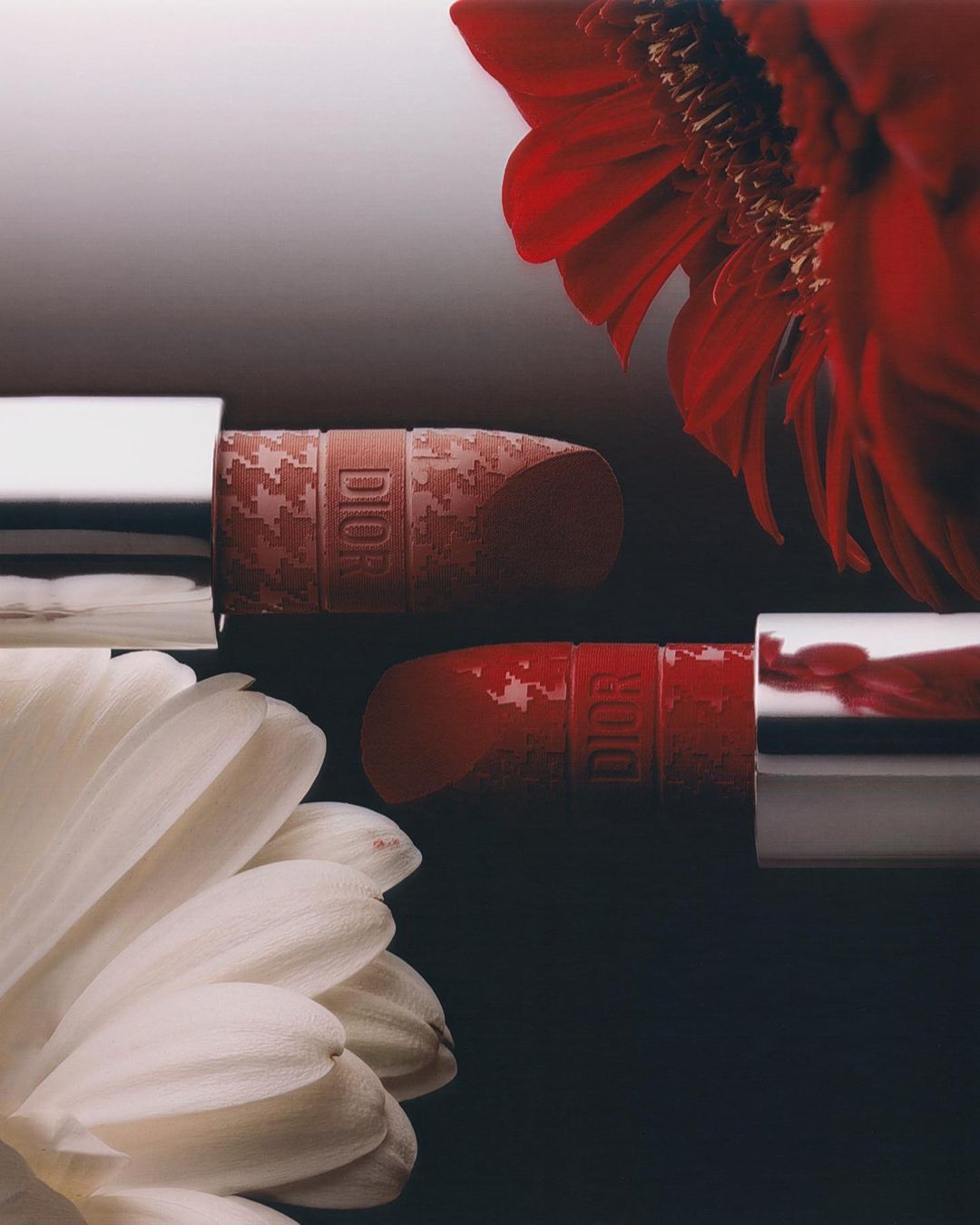 Close-up of two Dior lipsticks with silver caps, surrounded by red and white gerbera daisies on a dark gradient background.