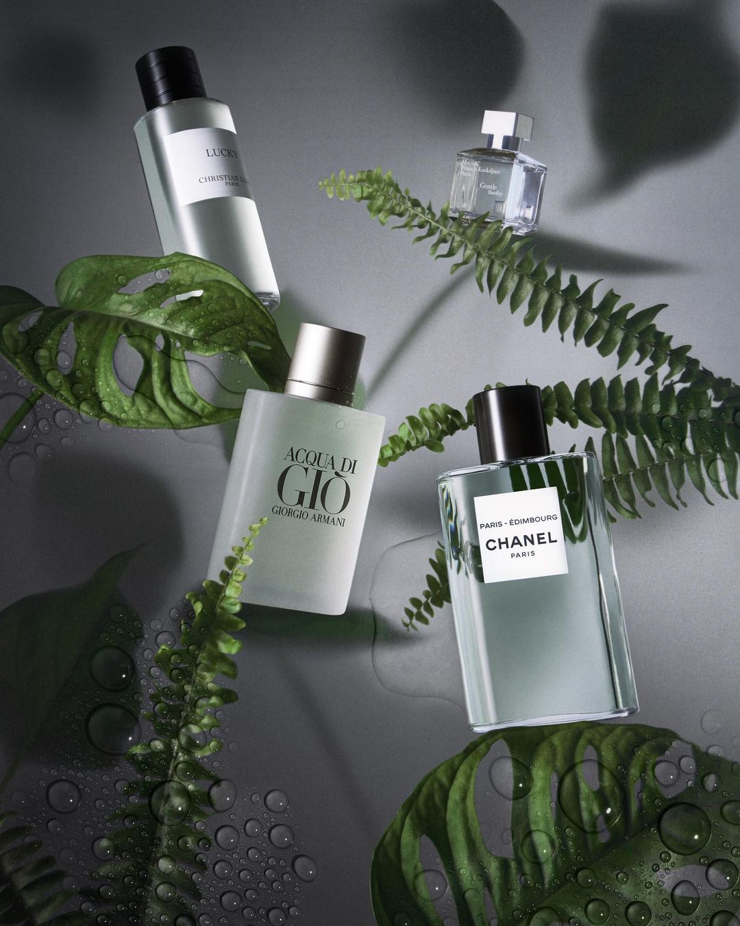 Four perfume bottles from brands like Chanel and Giorgio Armani are styled with water droplets and green foliage on a gray surface.
