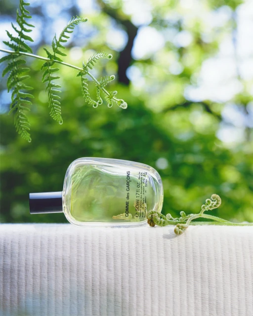 Bottle of Comme des Garçons perfume displayed on a white surface with fern fronds against a soft green bokeh background.