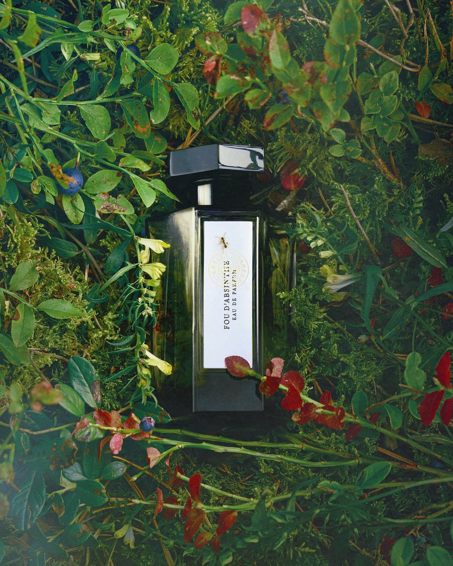 A dark glass perfume bottle nestled among green moss, forest foliage, small berries, and twigs.