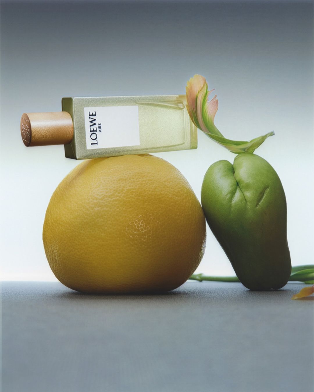 Perfume bottle resting on a large grapefruit, with a green chayote squash and exotic flower. Cosmetic product still life.