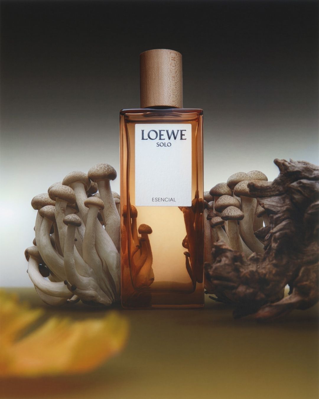 Loewe Solo Esencial fragrance bottle surrounded by brown mushrooms and wood on a tan surface with a dark grey background.