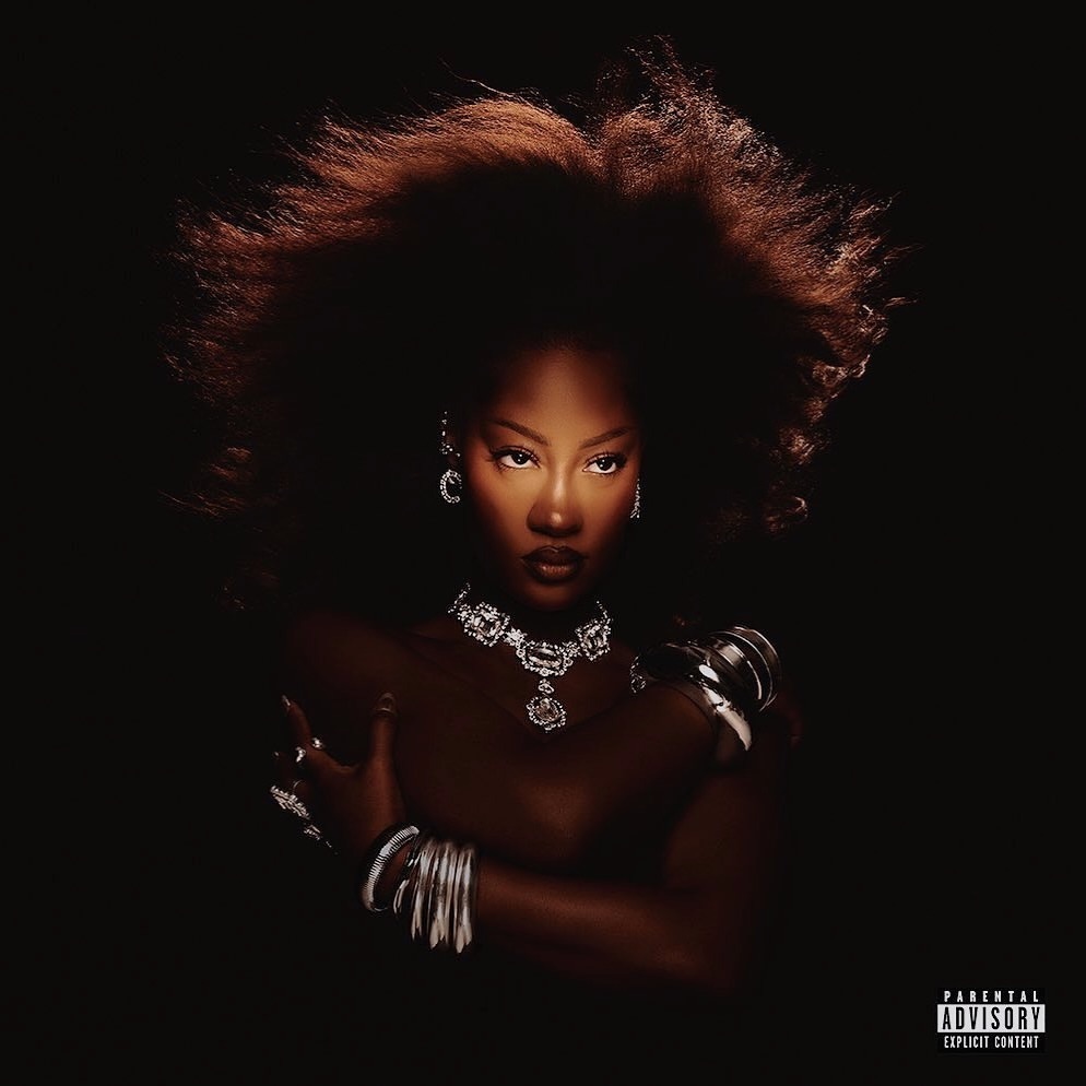 Portrait of a woman with a large afro hairstyle wearing jewelry on a dark background, showcasing beauty and fashion elements.
