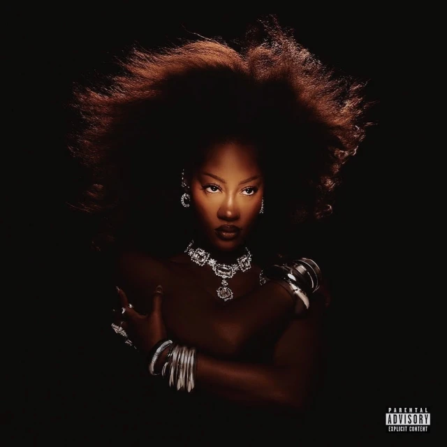 Portrait of a woman with a large afro hairstyle wearing jewelry on a dark background, showcasing beauty and fashion elements.