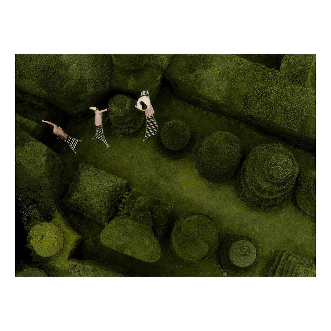 Overhead shot captures three individuals in an verdant green garden with manicured bushes and grassy pathways, conveying peace and artistry.