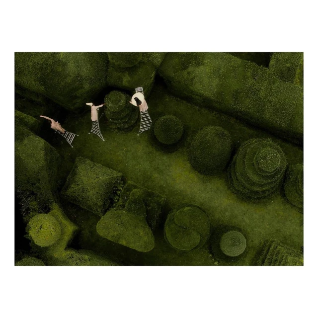 Overhead shot captures three individuals in an verdant green garden with manicured bushes and grassy pathways, conveying peace and artistry.