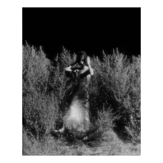 Monochromatic shot of a woman in a dress posing amid tall grass, set against a dark background. The image has a grainy, textured feel.