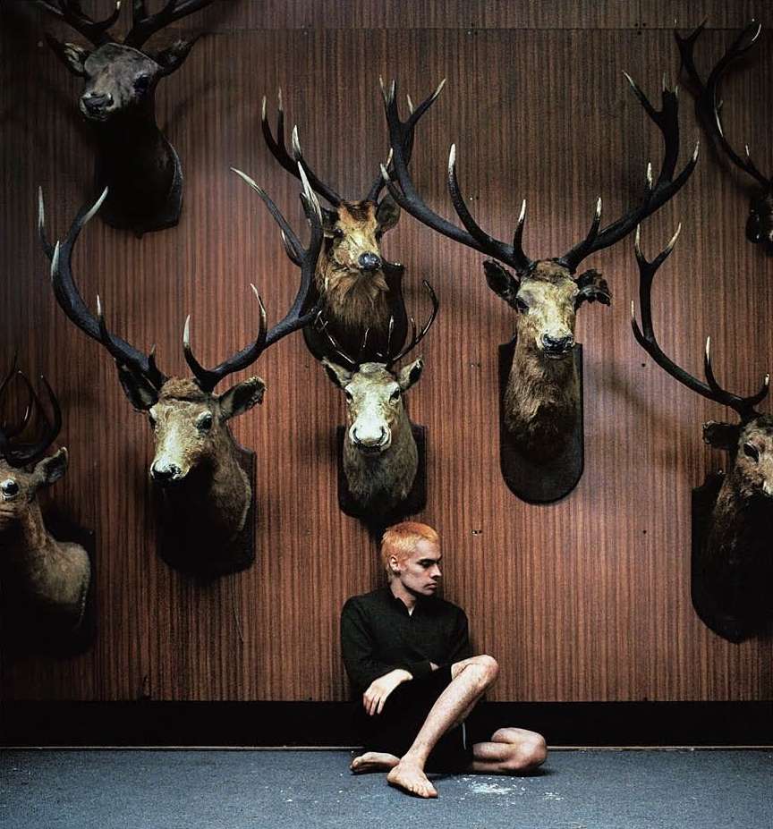 Person sits cross-legged against paneled wall covered with mounted deer heads with large antlers in dimly lit indoor setting.
