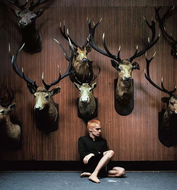 Person sits cross-legged against paneled wall covered with mounted deer heads with large antlers in dimly lit indoor setting.