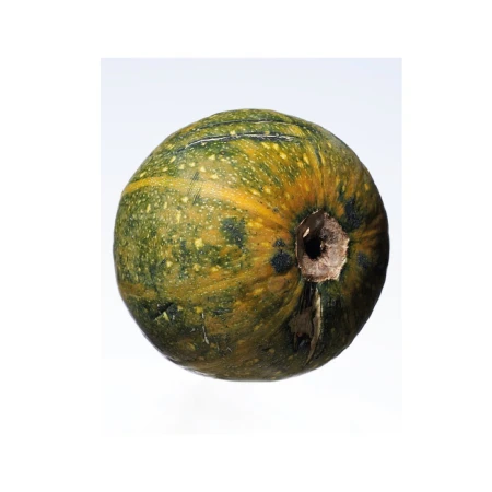 Close-up studio shot of a vibrant green and yellow kabocha squash with a white background, showcasing its round shape and textured skin.