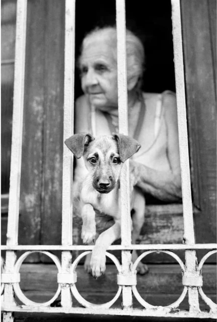 Black and white image of a puppy looking through a barred window with an elderly woman blurred in the background looking out.
