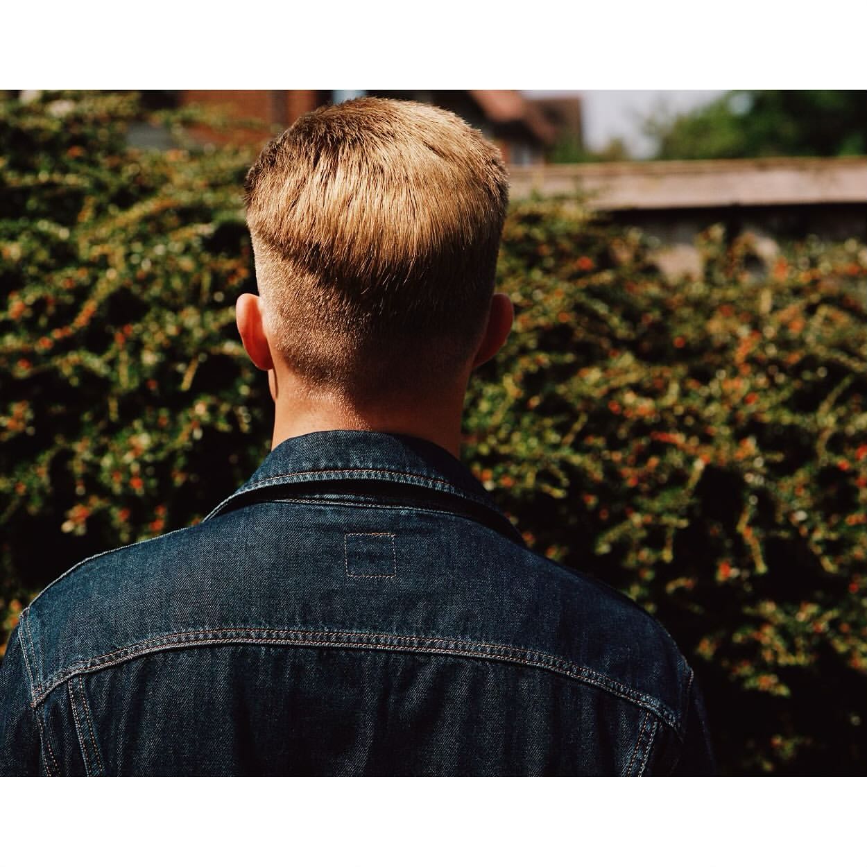 Back view of adult male with short blond hair wearing a dark denim jacket outdoors in front of a green leafy hedge.