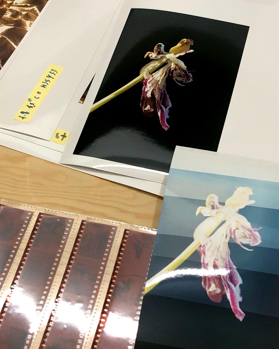 Artistic arrangement of photographic prints featuring dried flowers alongside undeveloped film strips on a light wooden surface, creating a unique texture.
