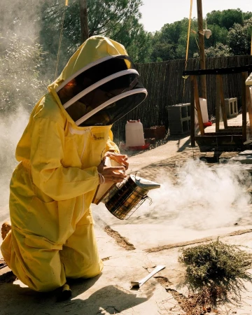 Beekeeper in protective suit kneeling outdoors using a smoker, with smoke rising, and greenery in the background on a sunny day.