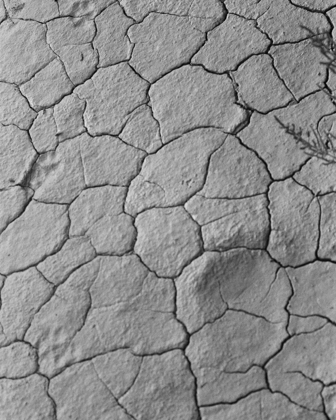 Close-up black and white photograph of cracked earth, creating a geometric pattern with raised segments and varying gray tones.