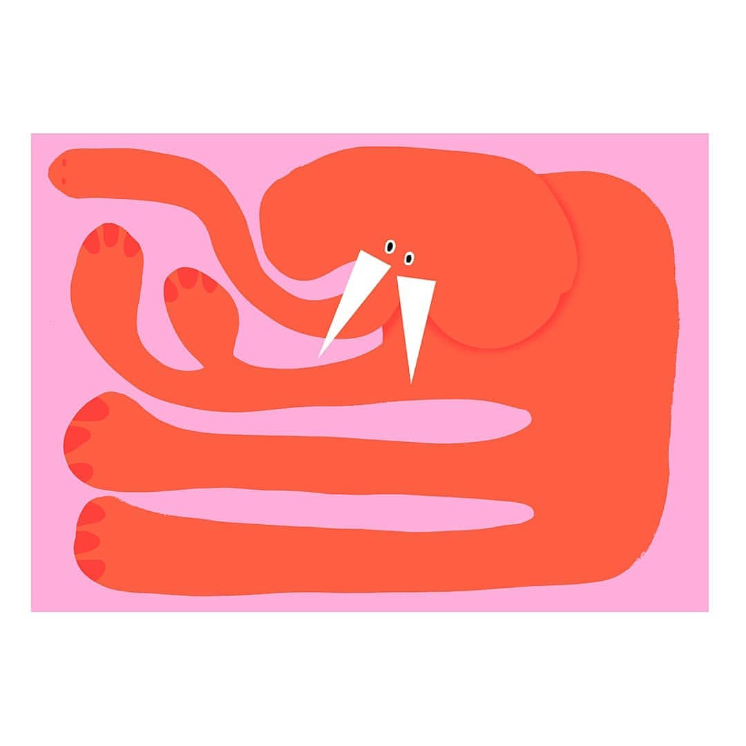 Illustration of an orange walrus-like creature with white tusks and a pink background, showcasing a playful and cartoonish design style.