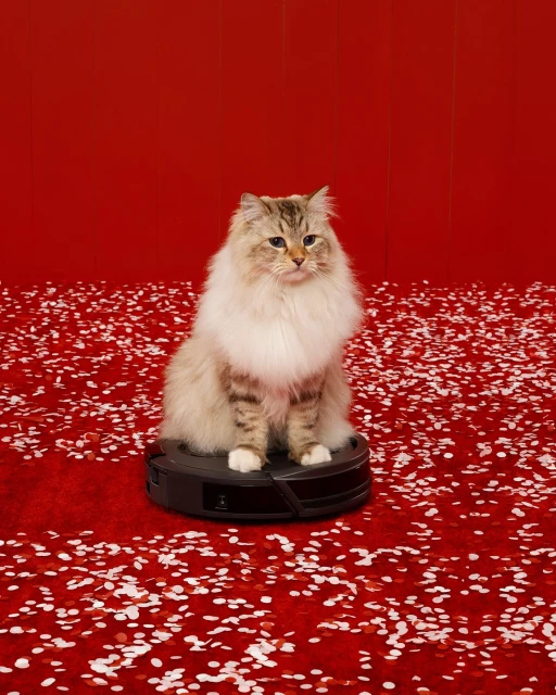 Fluffy brown cat sits on a robot vacuum cleaner surrounded by white confetti against a vibrant red backdrop in a studio shot.