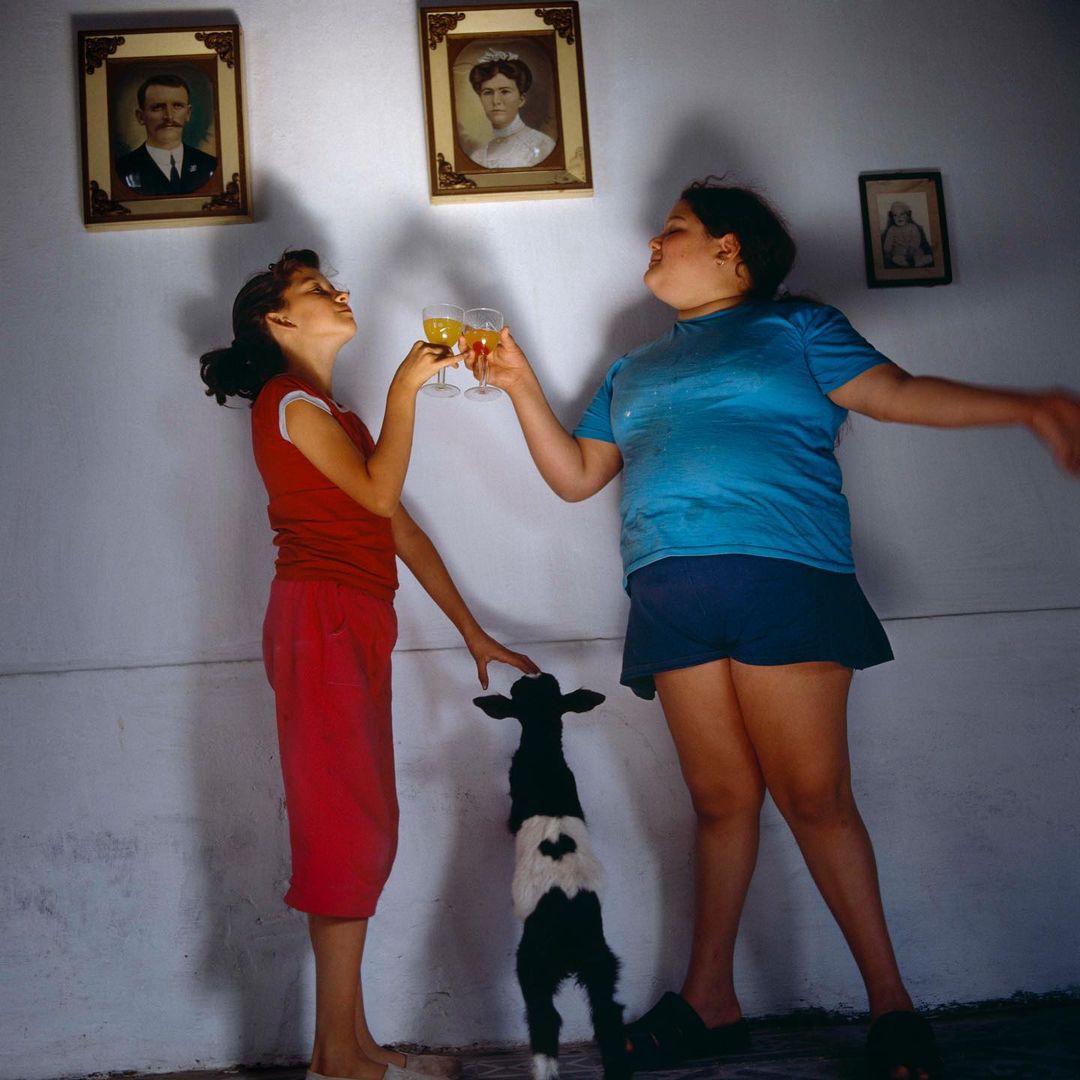 Two young women clink glasses in an indoor setting, with a black and white goat standing between them, portraits hanging in the background.