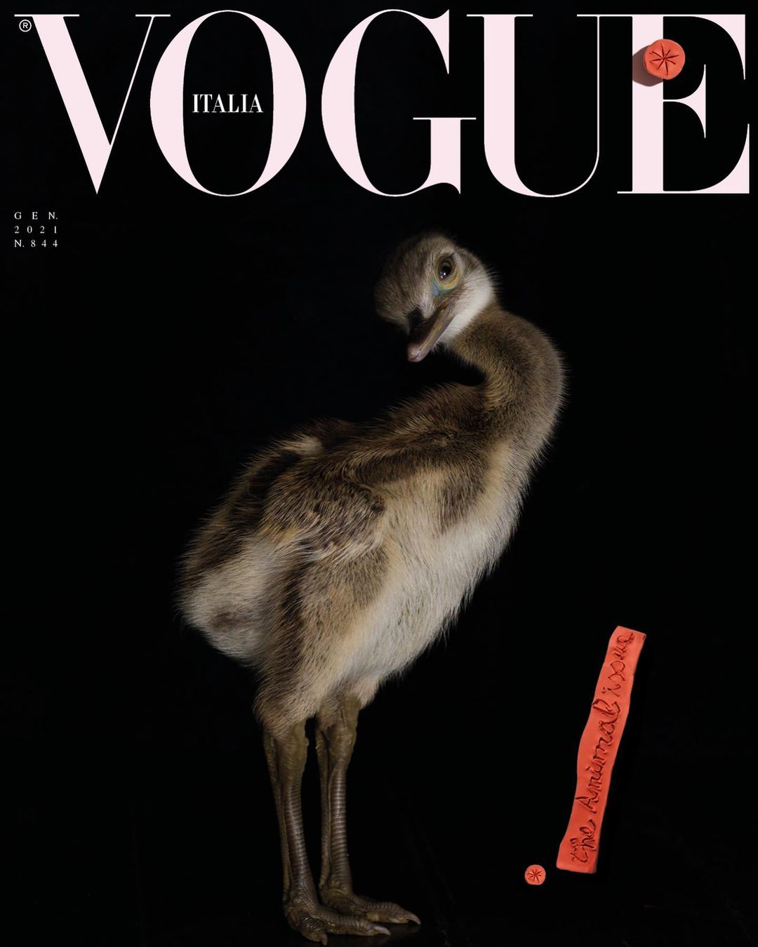 Vogue Italia magazine cover featuring a young bird with brown and white feathers against a dark background. Magazine title visible.