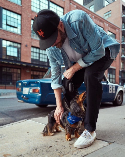 Man pets a dachshund dog wearing a blue bandana on a sidewalk in an urban environment with a blue car and brick building in background.