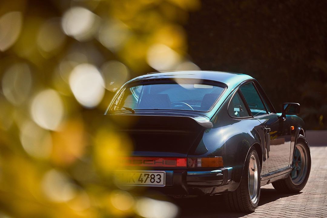 Rear view of a teal Porsche 911 parked on a brick surface, partially obscured by golden foliage, illuminated by soft sunlight.