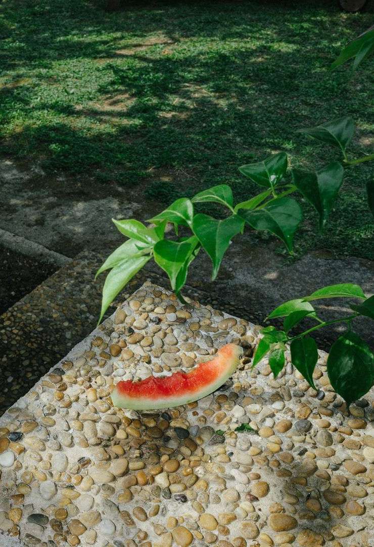 A slice of watermelon rests on a pebble surface next to green foliage, with grass visible in the sunny background.