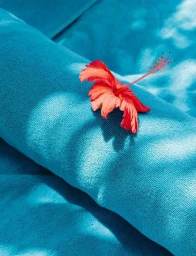 Vibrant red hibiscus flower resting on a rolled blue textured towel with dappled sunlight casting shadows