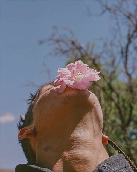 Portrait of adult with pink flower resting on forehead in upward-facing outdoor shot. Light blue sky and blurry trees in background.