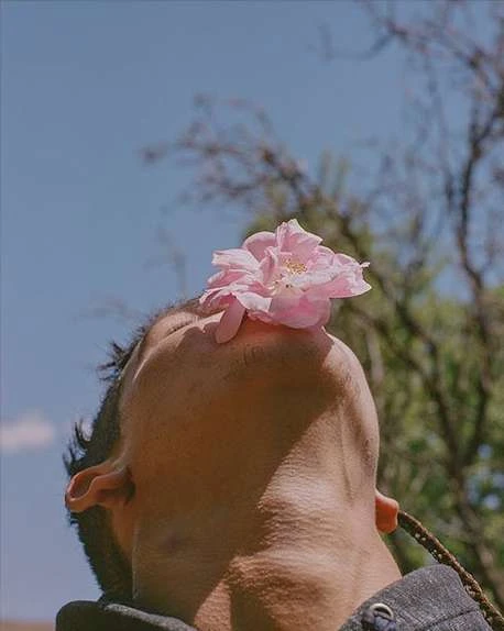 Portrait of adult with pink flower resting on forehead in upward-facing outdoor shot. Light blue sky and blurry trees in background.
