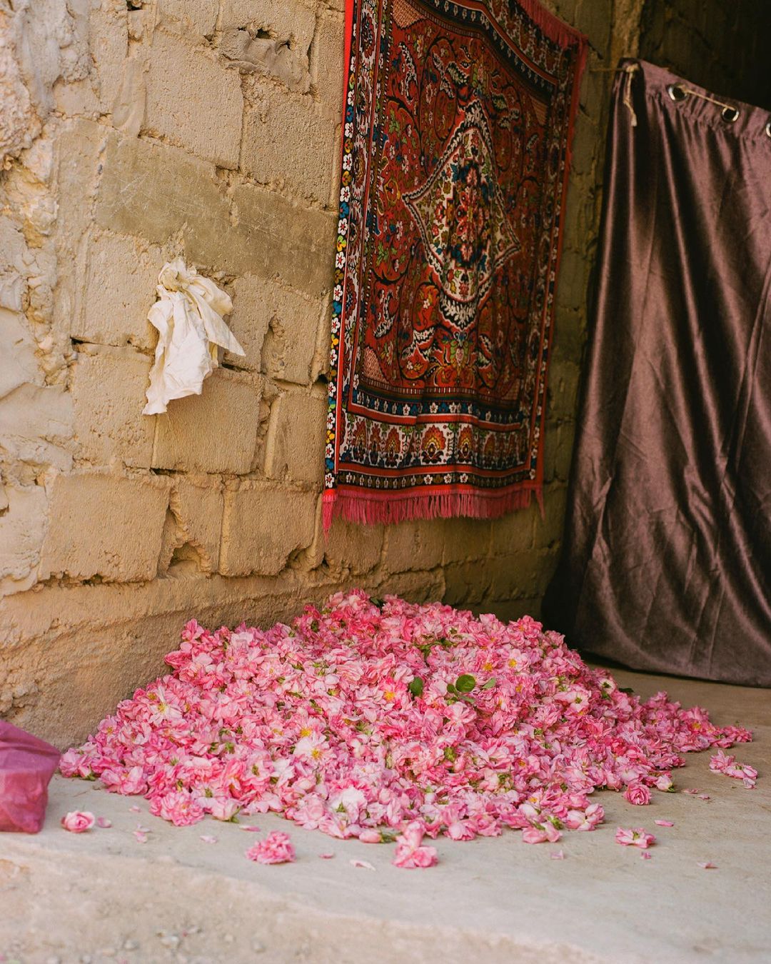 Large pile of pink rose petals on a stone floor, with an ornate rug and curtain in the background. Neutral, muted color scheme.