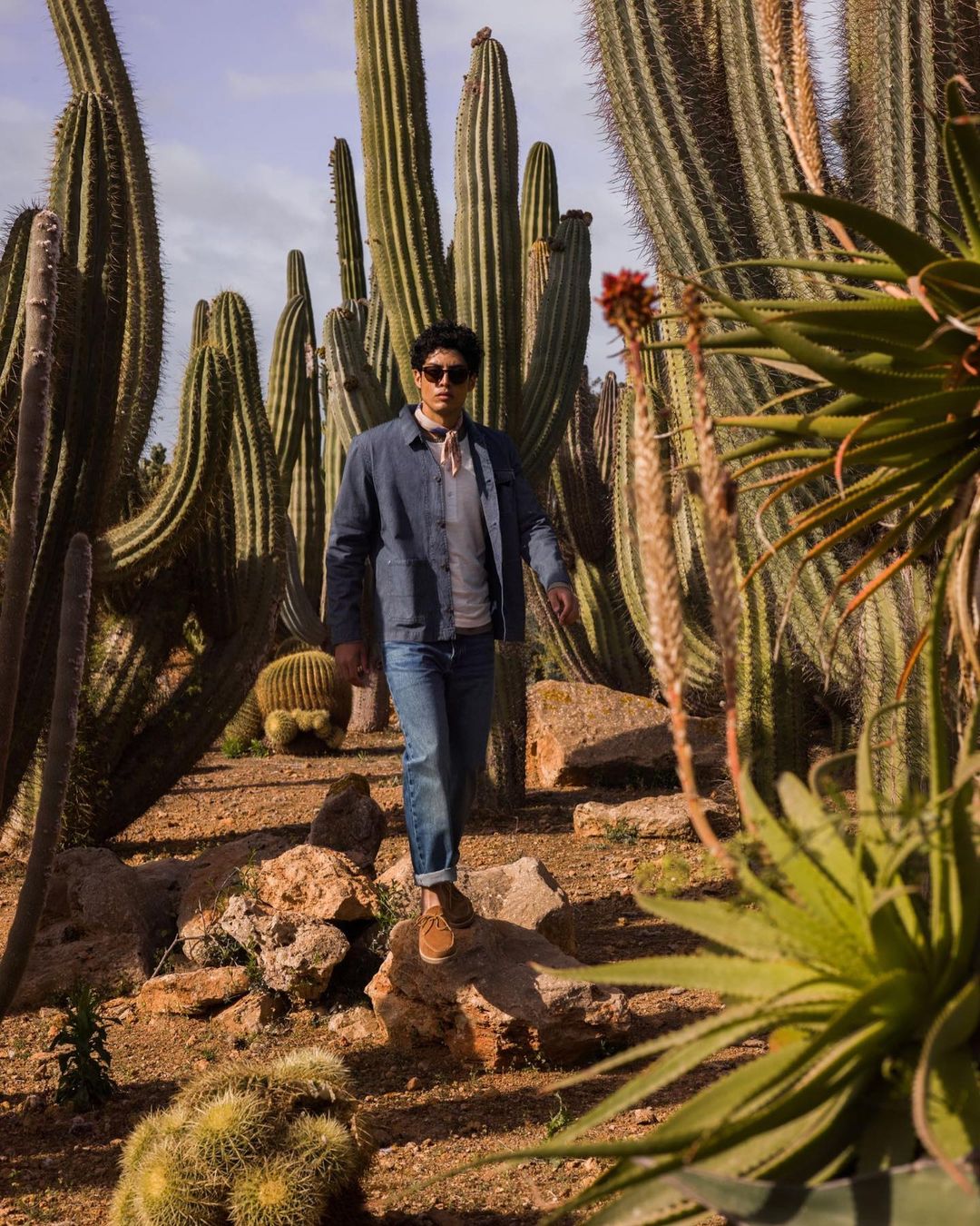 Man walking among tall cacti in an outdoor desert environment, wearing a blue jacket and jeans in bright daylight. 