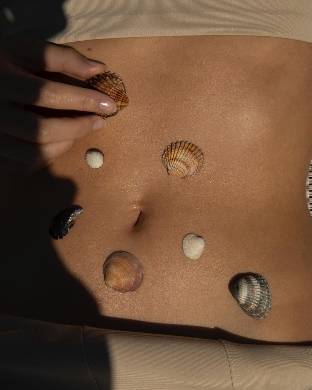 Torso of an adult female, adorned with various seashells, is positioned in front of a neutral background, captured in warm, natural light.
